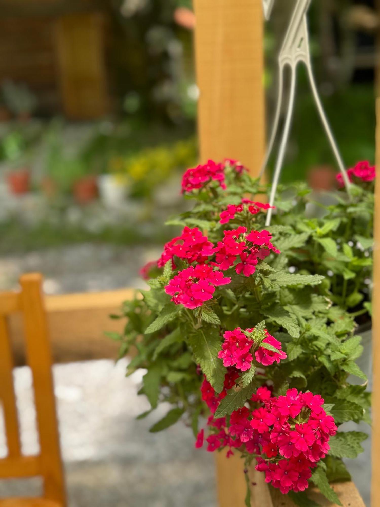 Guest House Hyrmet Demushi 발보너 외부 사진