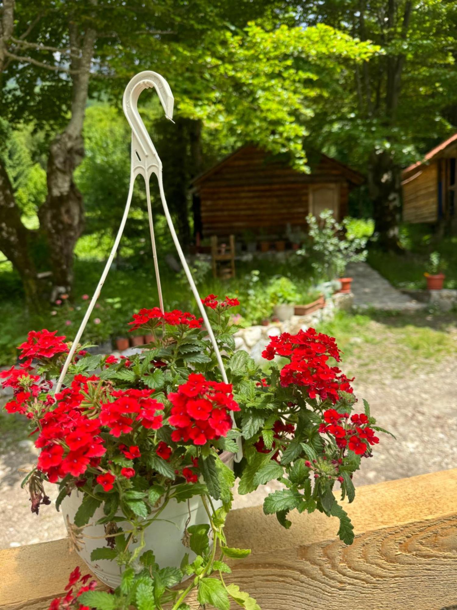 Guest House Hyrmet Demushi 발보너 외부 사진