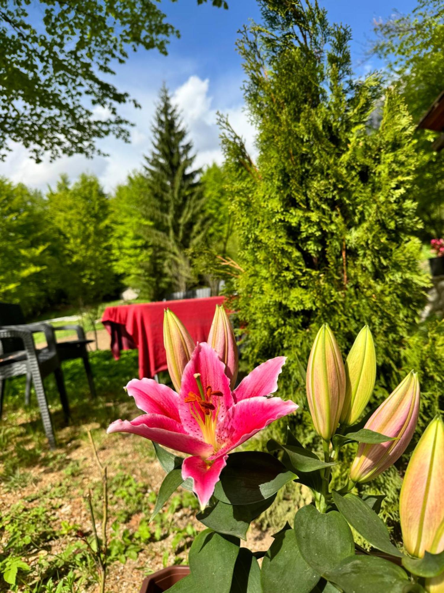 Guest House Hyrmet Demushi 발보너 외부 사진